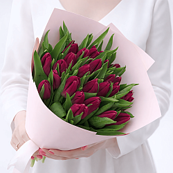 25 темно-розовых тюльпанов в упаковке