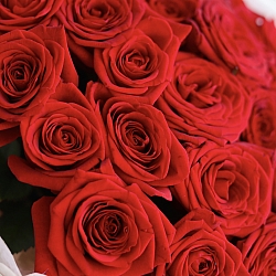 25 красных роз 40см в упаковке (Россия)