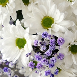 Букет «Млечный Путь»