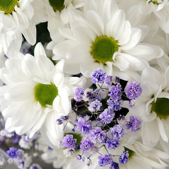 Букет «Млечный Путь»