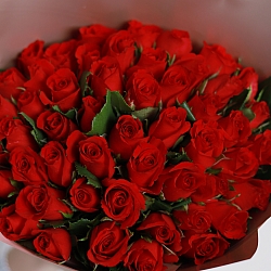 51 красная роза 35-40см в упаковке (Кения)