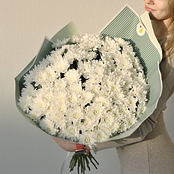 15 белых кустовых хризантем в упаковке