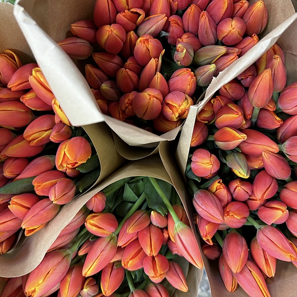 Охапка красно-желтых тюльпанов (50шт)