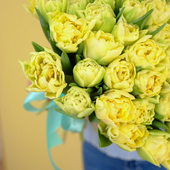 51 желтый тюльпан (Пионовидные)